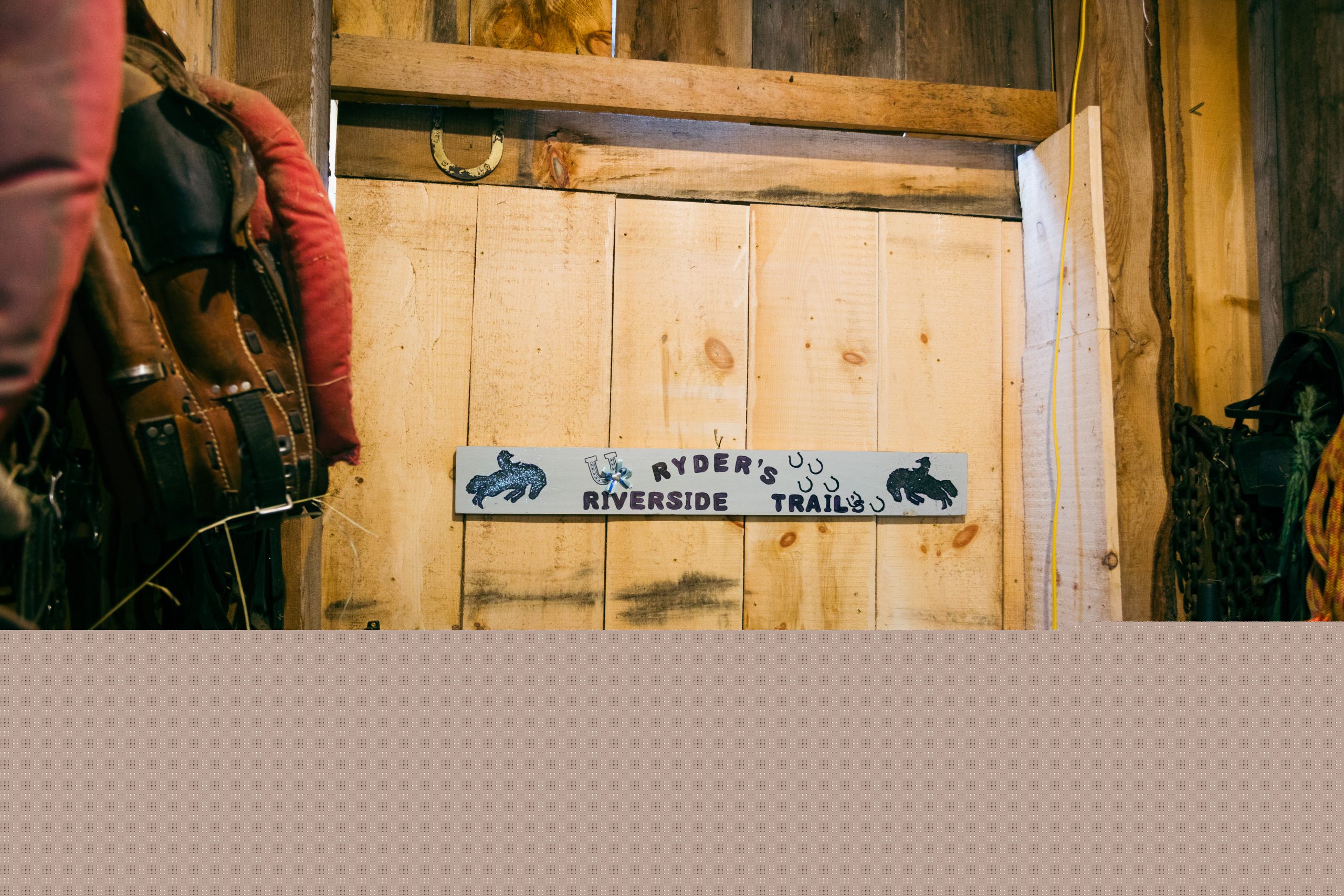 Horse and rider on the trail
