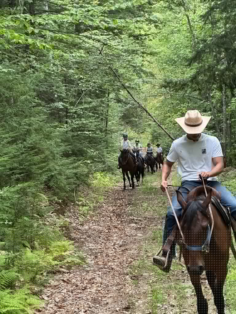 Guided trail ride through the Ossipee woods